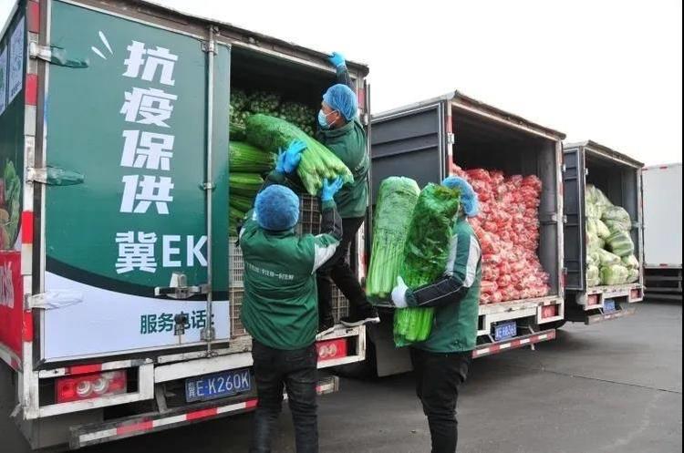 驰援南宫 守望相助 | 宝信物流向南宫捐赠5万余斤新鲜果蔬