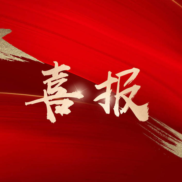 【喜报】宝信物流荣获省级放心消费示范单位